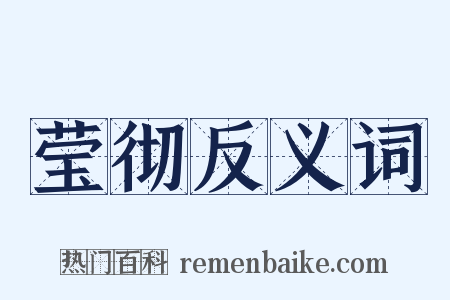 莹彻反义词是什么意思的图片